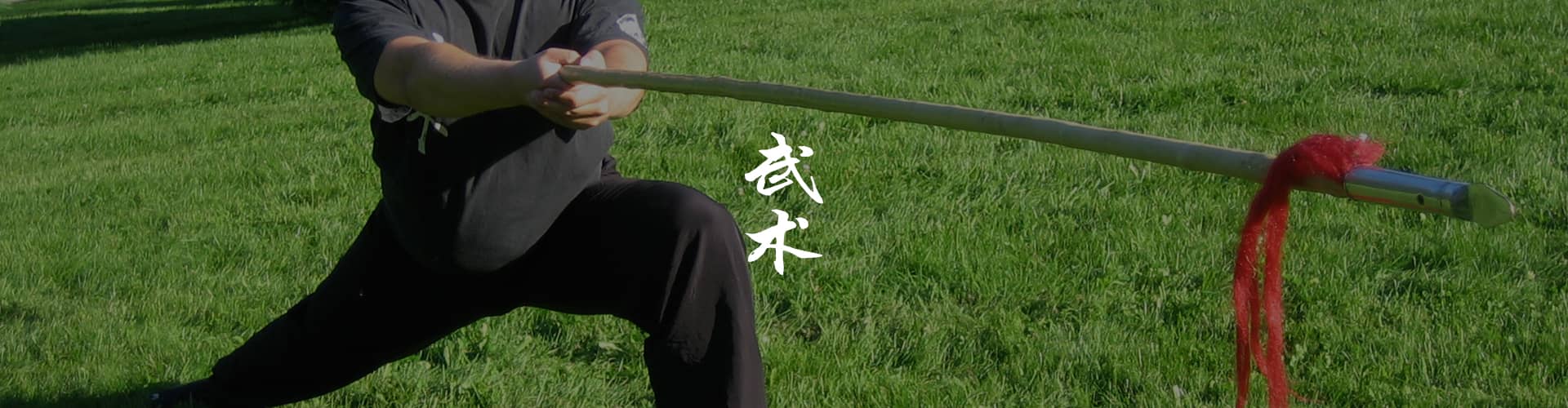 Wushu-kungfu
